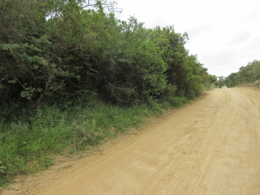 0 Bedroom Property for Sale in Bathurst Eastern Cape